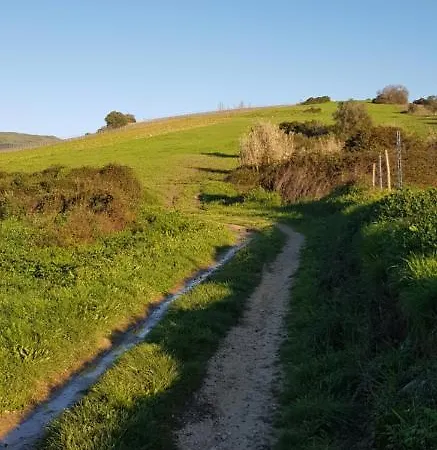 Al - Haoleguesthouse Alojamento de Turismo Rural Sobral de Monte Agraço