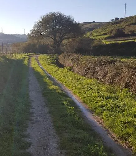 Al - Haoleguesthouse